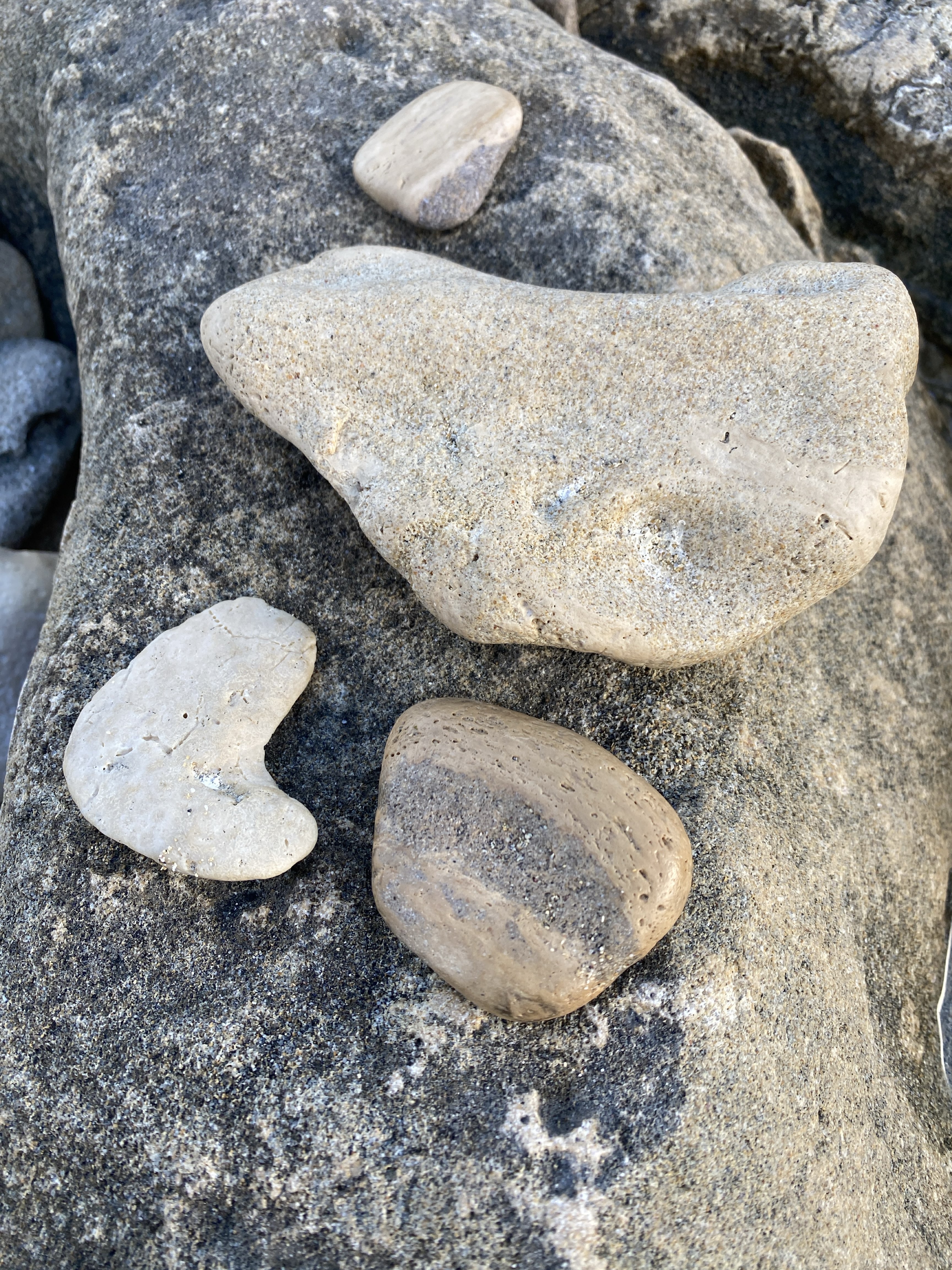 Heart shaped stones on limestone rock